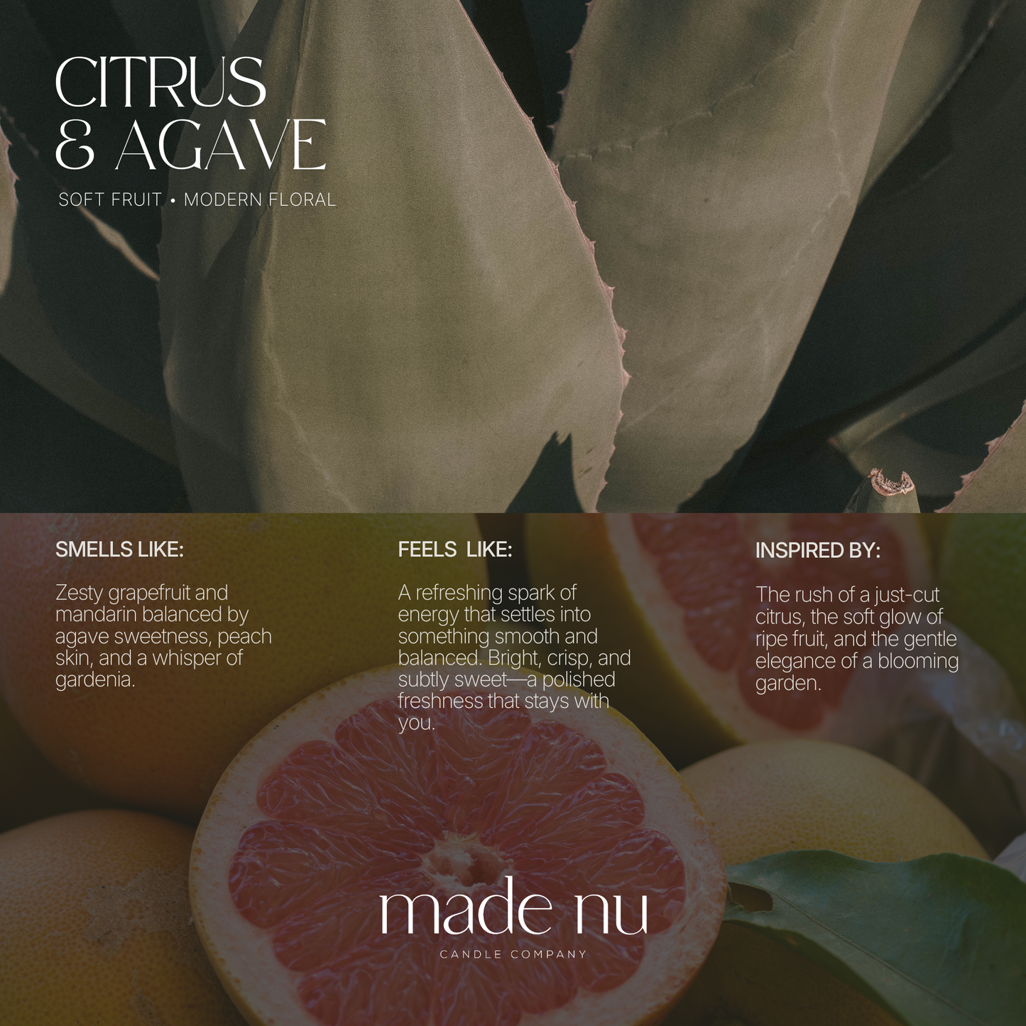 Citrus & Agave fragrance notes including agave, peach and gardenia luxury candle scent